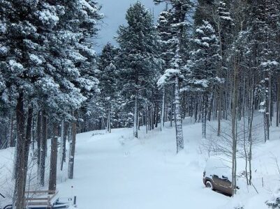 Remote-Homesteading Drawbacks Image